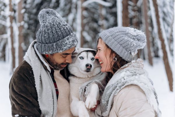 Prendre soin de son chien en hiver : guide pratique